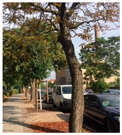 Land 09 00019 i008 Land 09 00019 i008