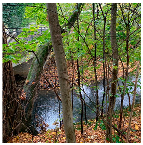 Land 09 00019 i009 Land 09 00019 i009