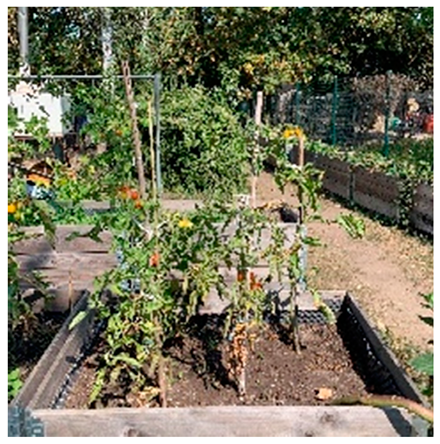 Land 09 00019 i012 Land 09 00019 i012