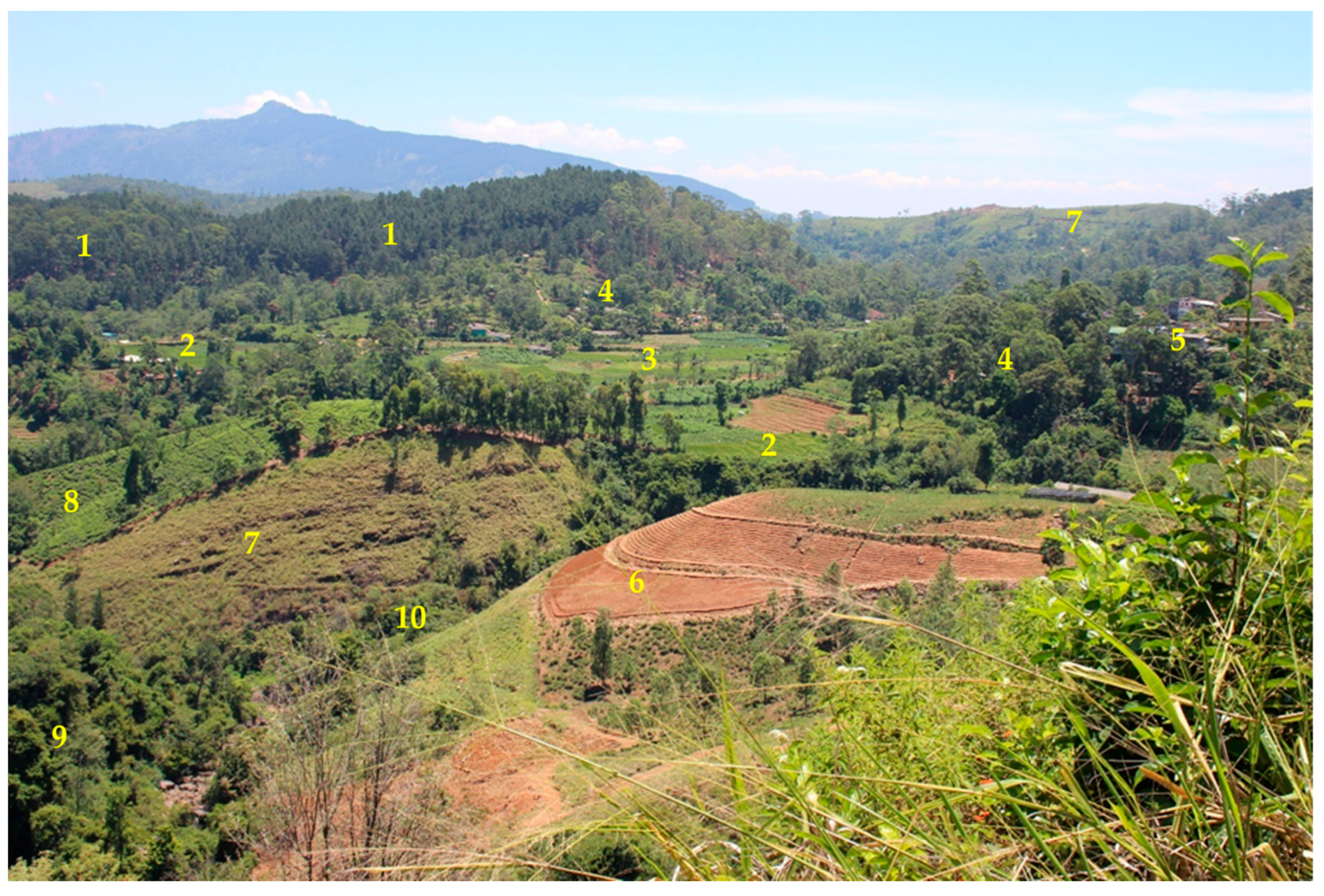 Land 09 00027 g003 Land 09 00027 g003