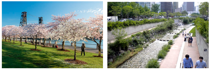 Land 09 00040 i001 Land 09 00040 i001