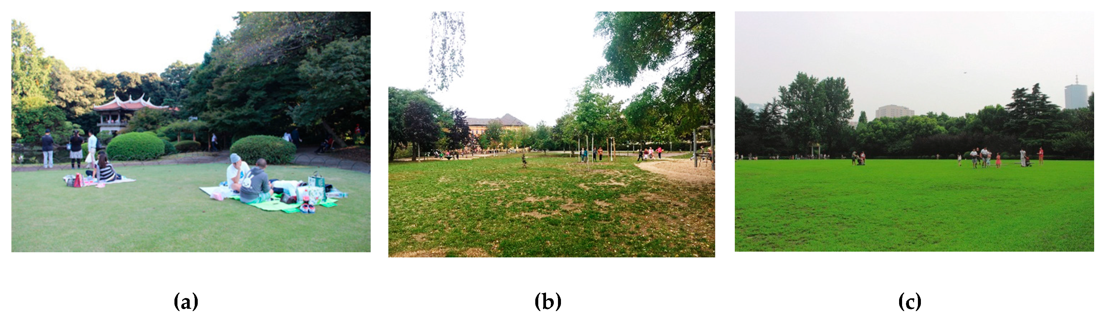 Land 09 00073 g007