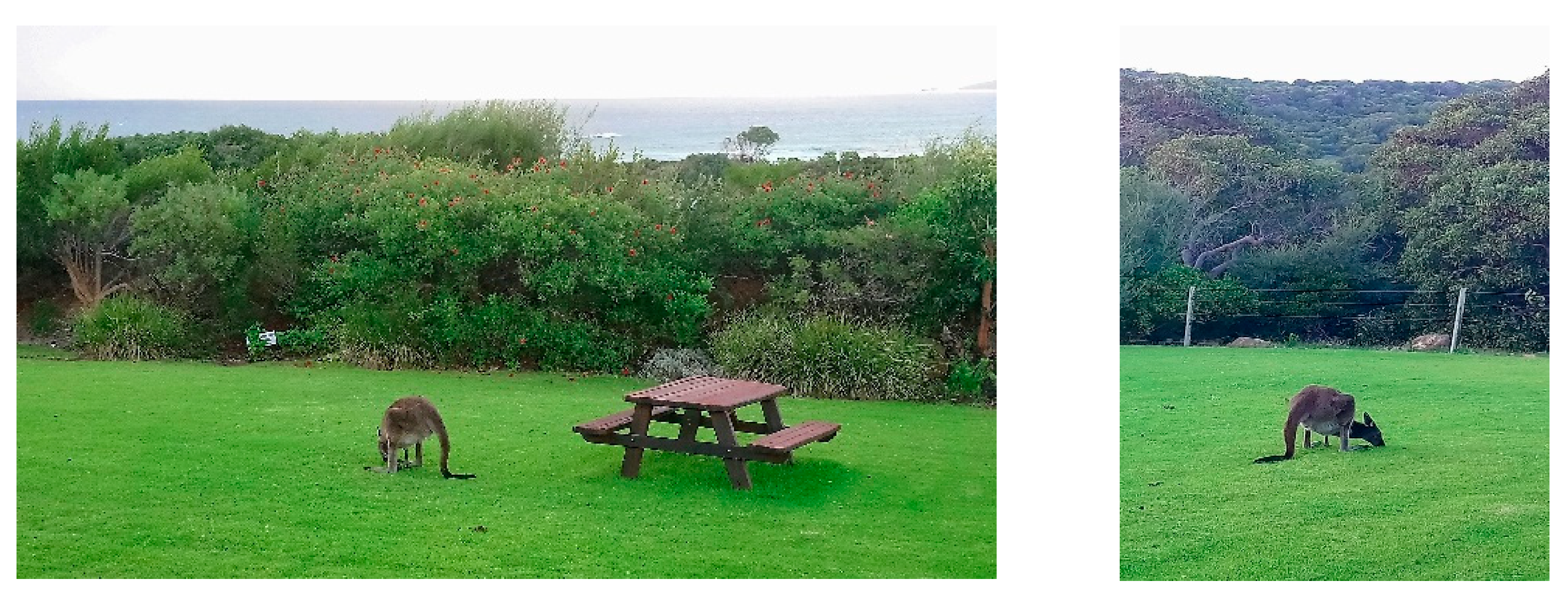 Land 09 00073 g011