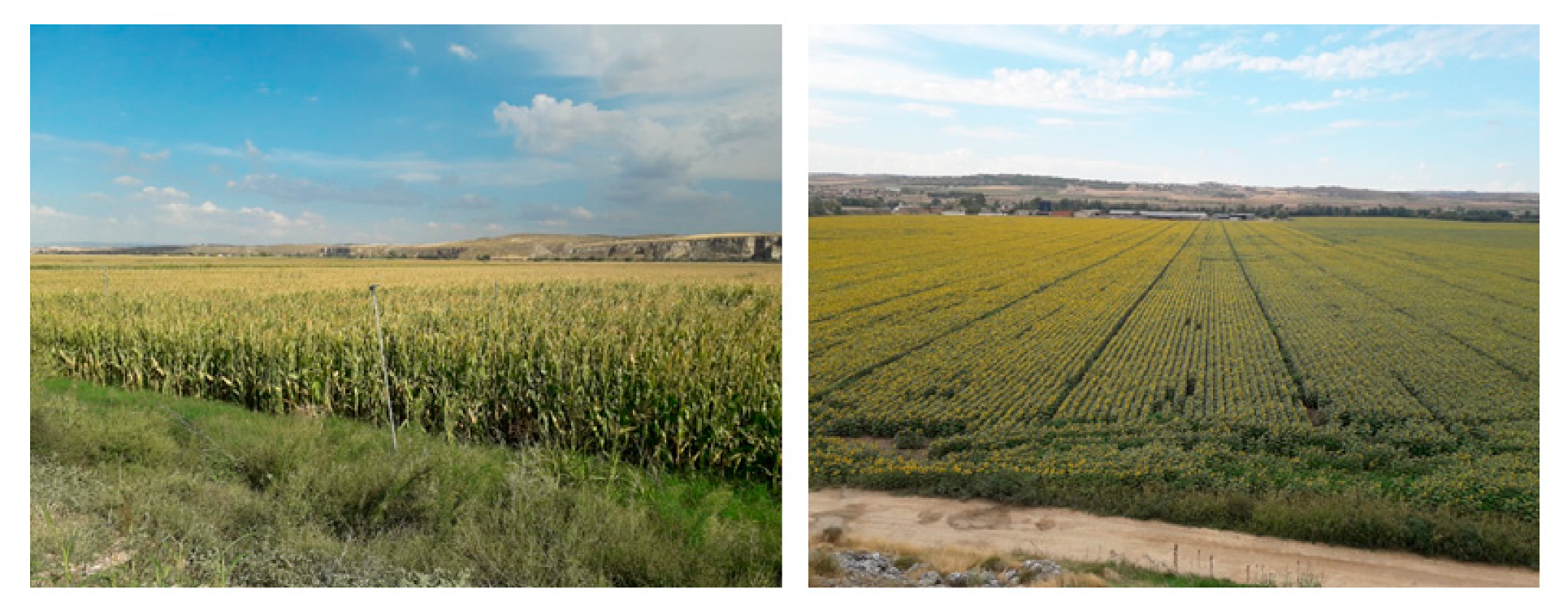Land 09 00414 g007