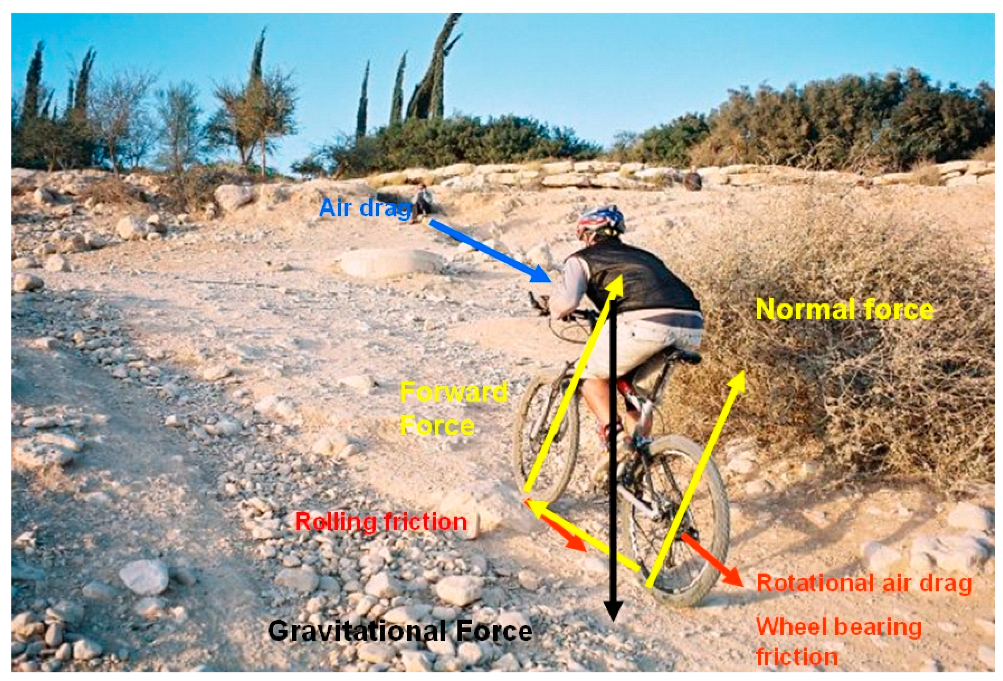 Land 09 00442 g002 Land 09 00442 g002