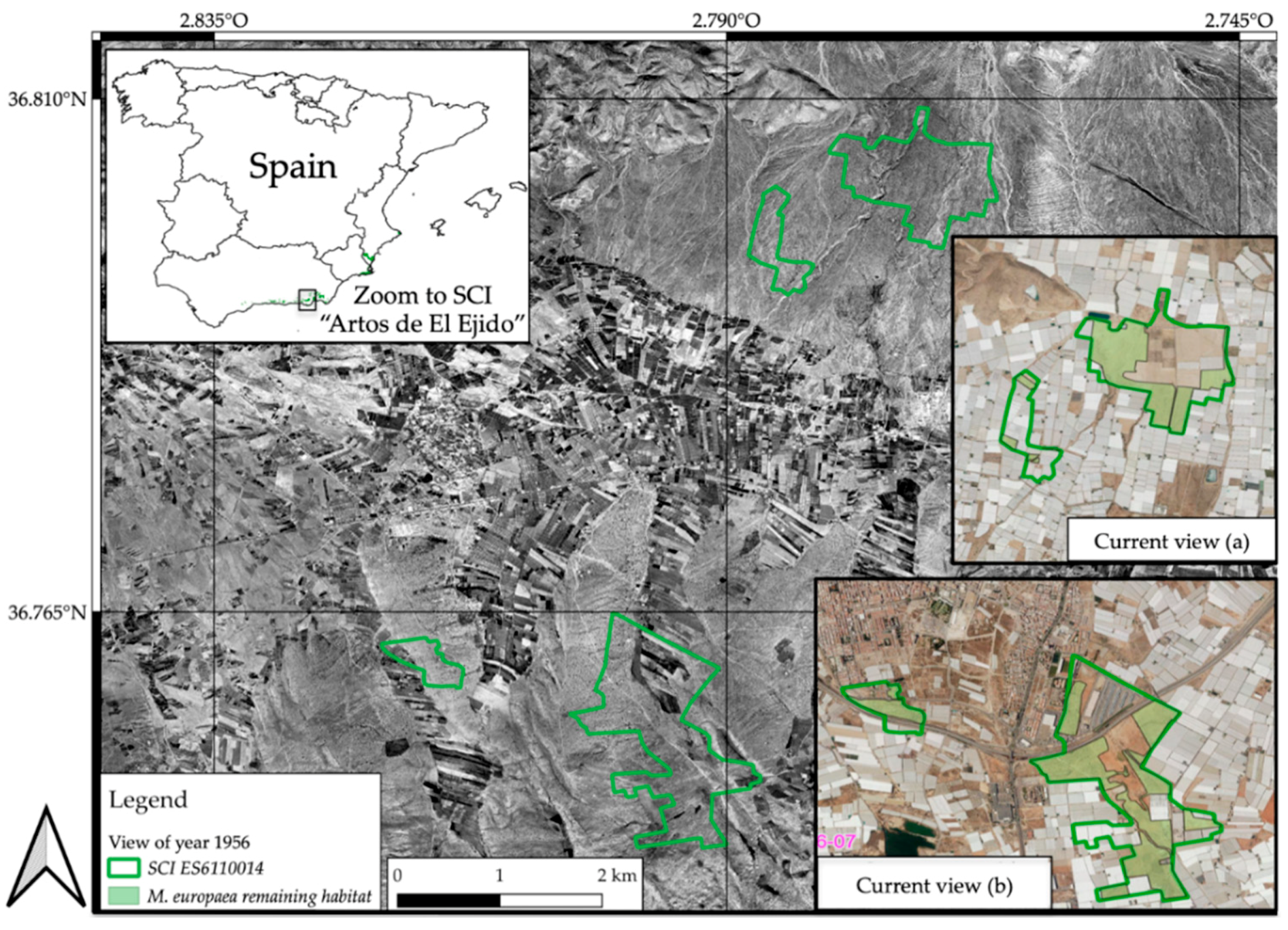 Land 10 00001 g005 Land 10 00001 g005