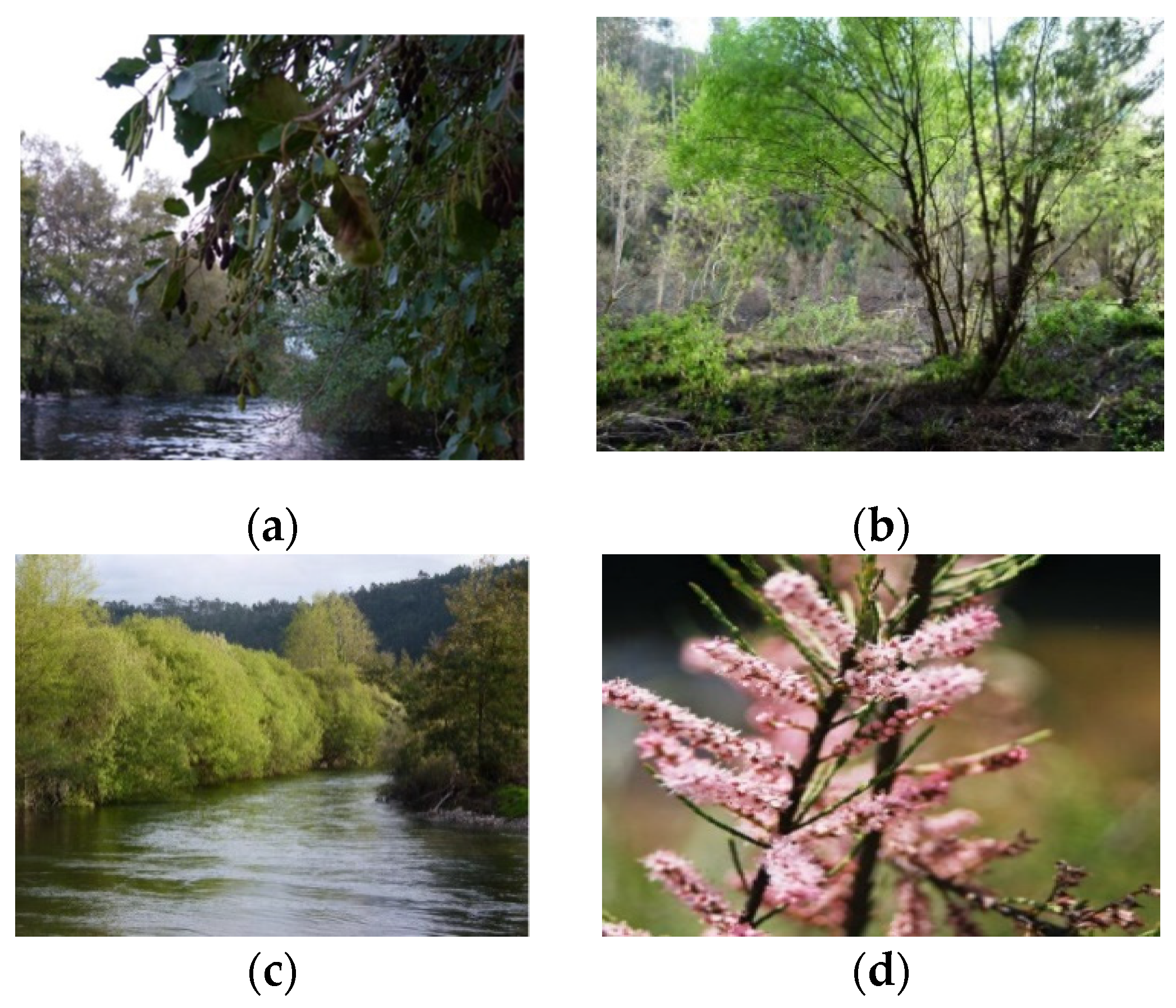 Land 10 00114 g003 Land 10 00114 g003