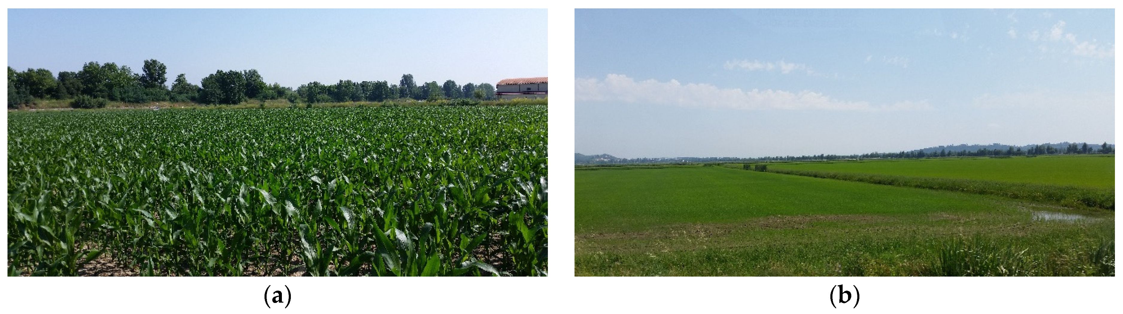 Land 10 00114 g005 Land 10 00114 g005