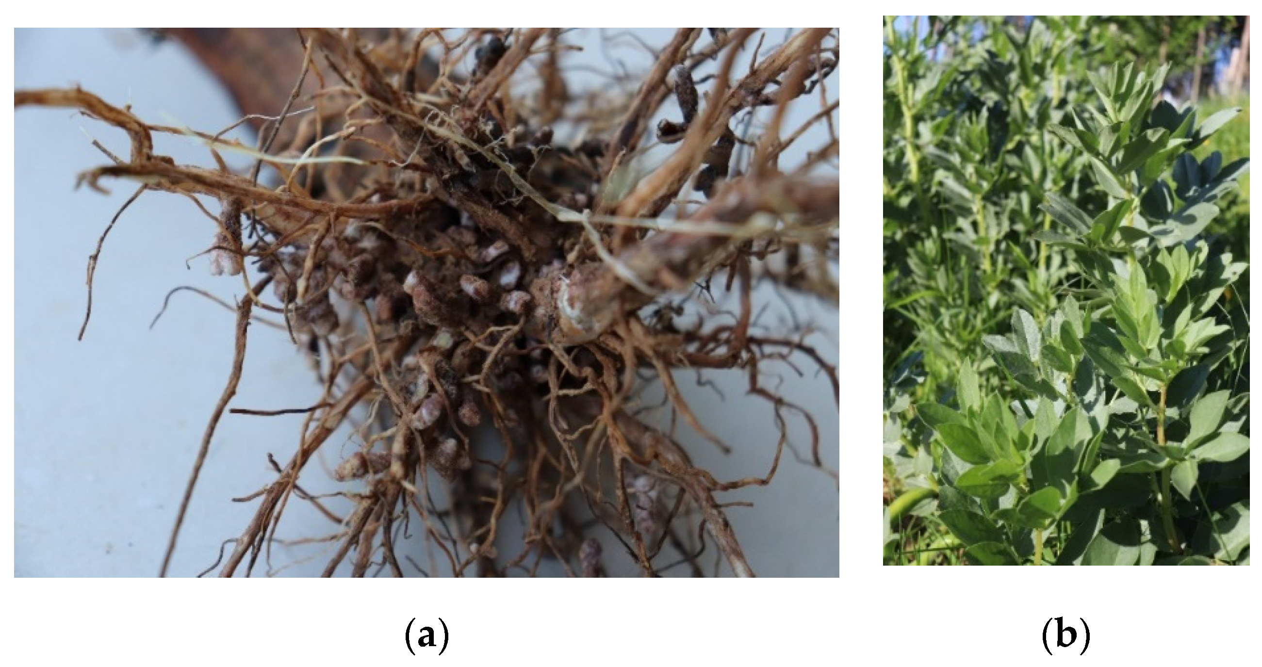 Land 10 00114 g010 Land 10 00114 g010