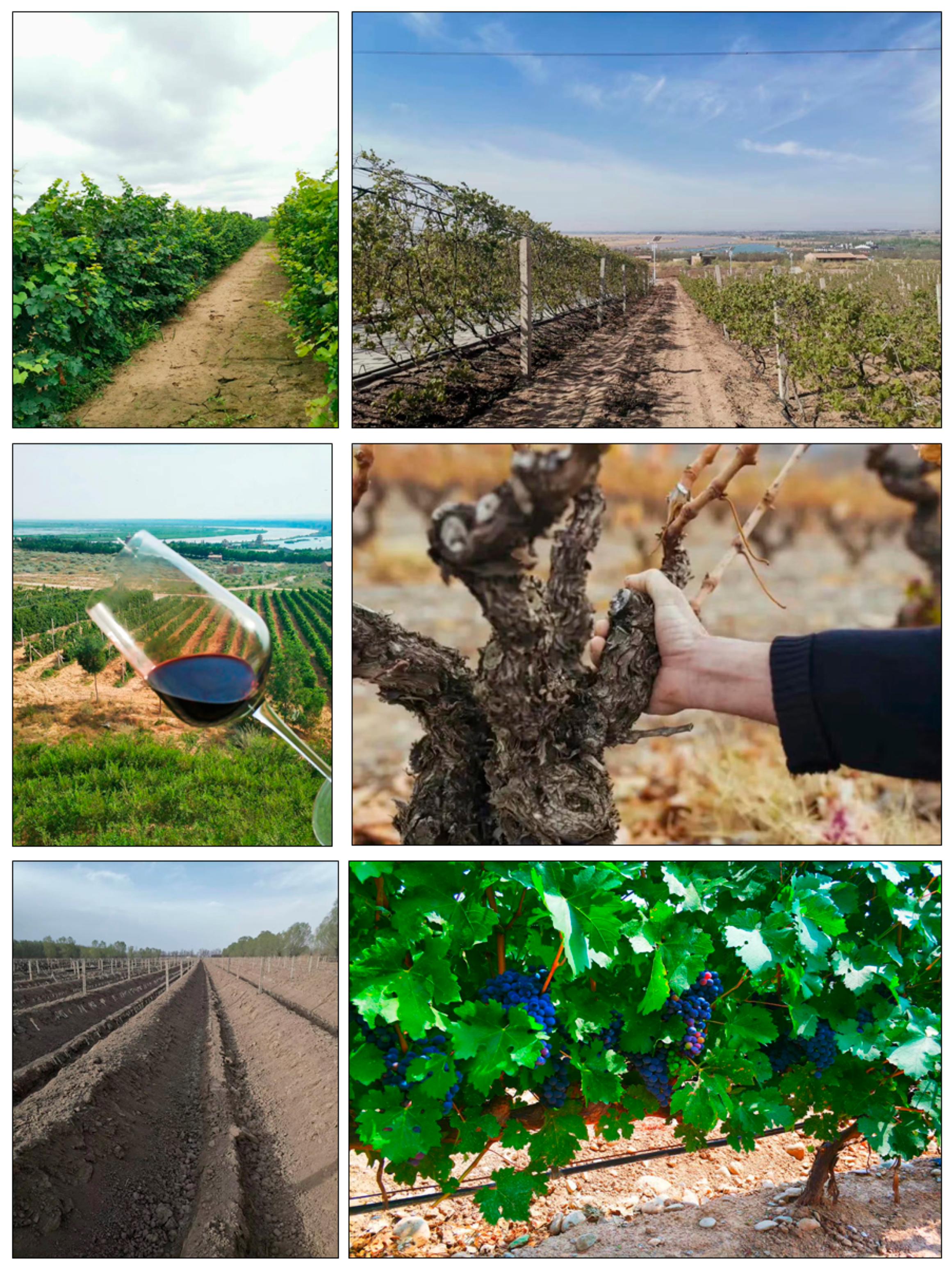 Land 10 00227 g001 Land 10 00227 g001