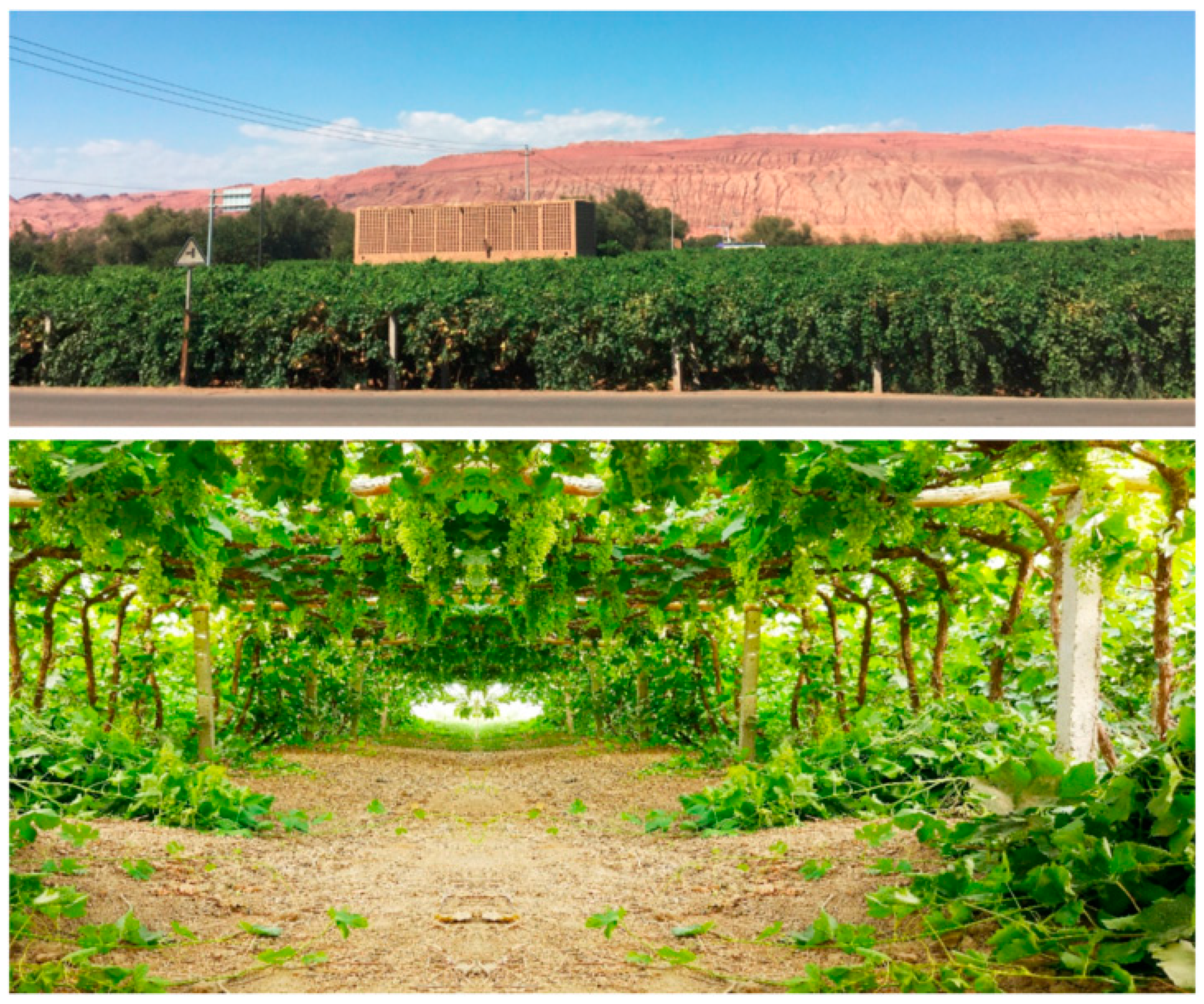 Land 10 00227 g005 Land 10 00227 g005