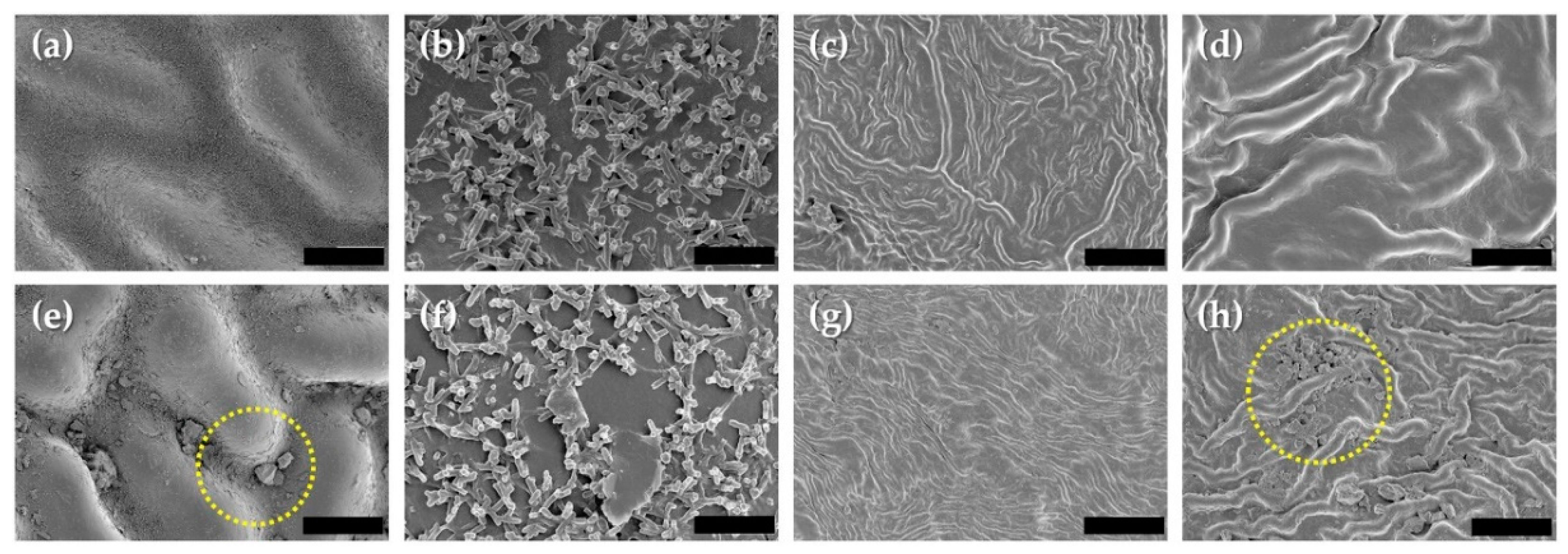 Land 10 00236 g004 Land 10 00236 g004