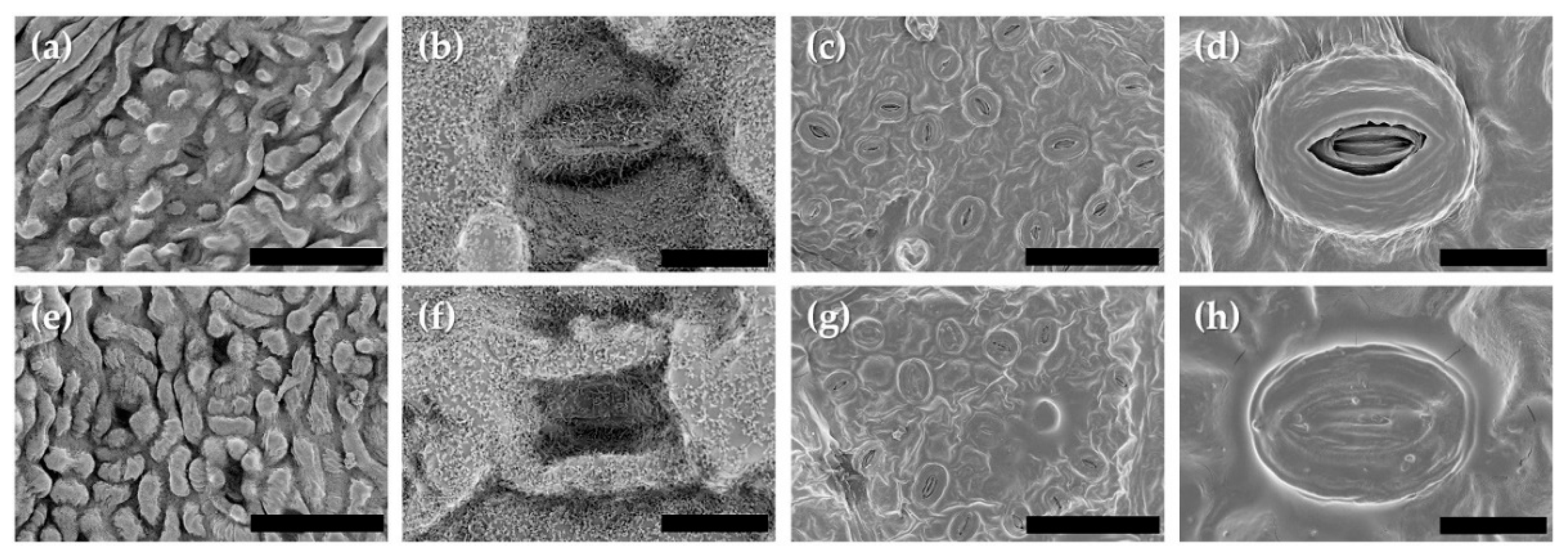 Land 10 00236 g005 Land 10 00236 g005