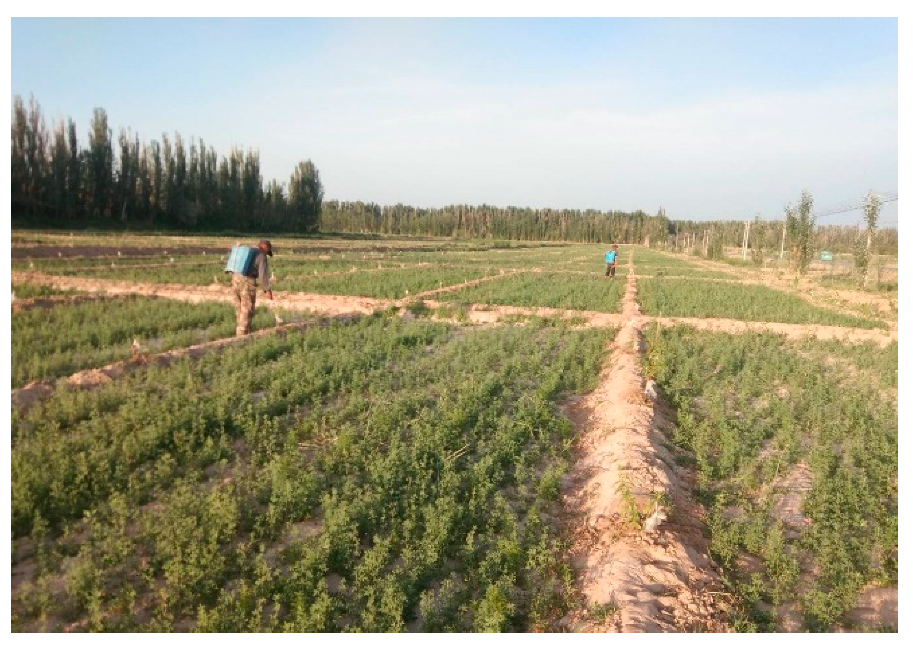 Land 10 00335 g003 Land 10 00335 g003