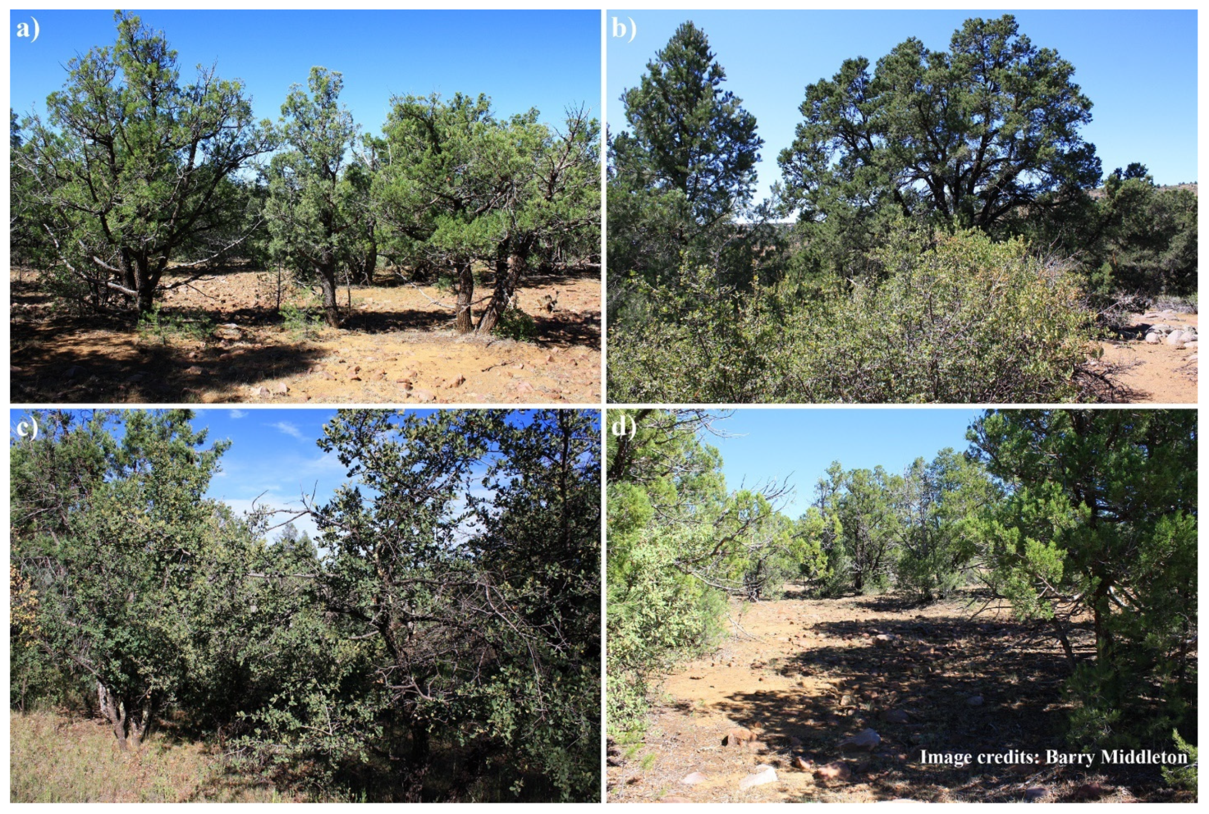 Land 10 00393 g001 Land 10 00393 g001