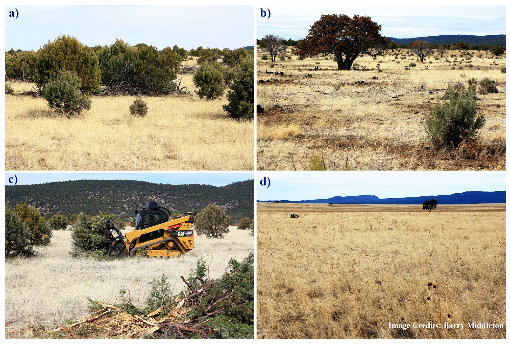 Land 10 00393 g003 Land 10 00393 g003