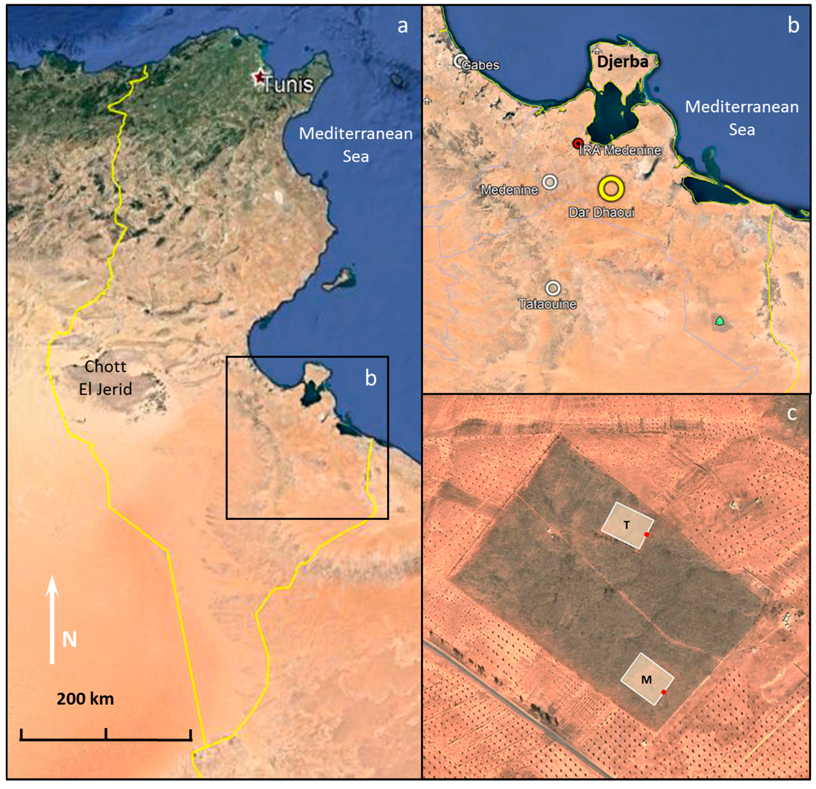 Land 10 00511 g001 Land 10 00511 g001