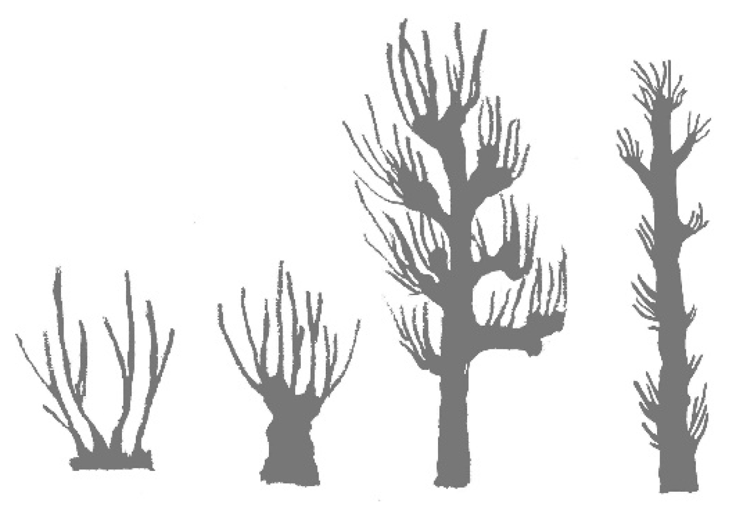 Land 10 00529 g002
