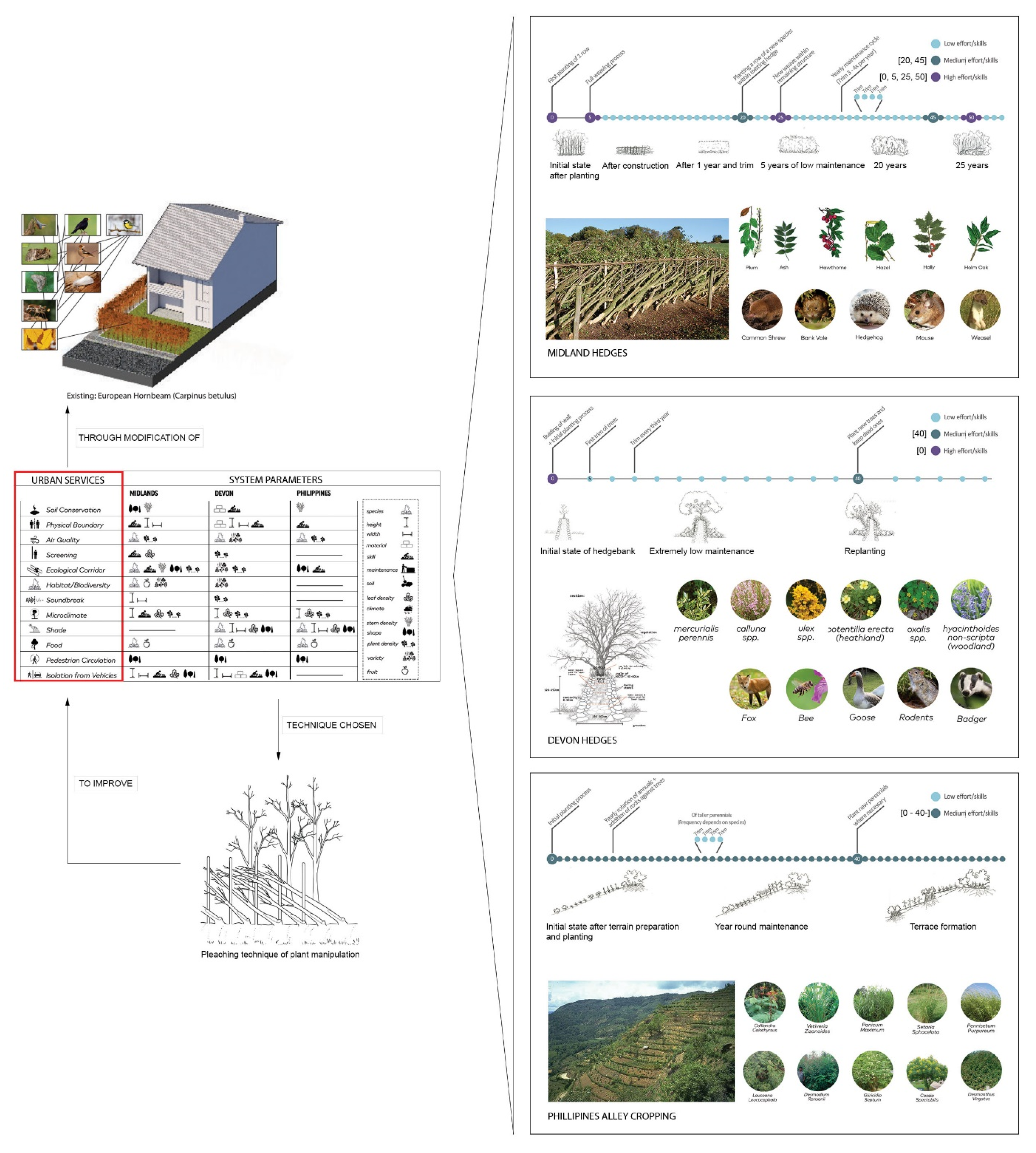 Land 10 00529 g009