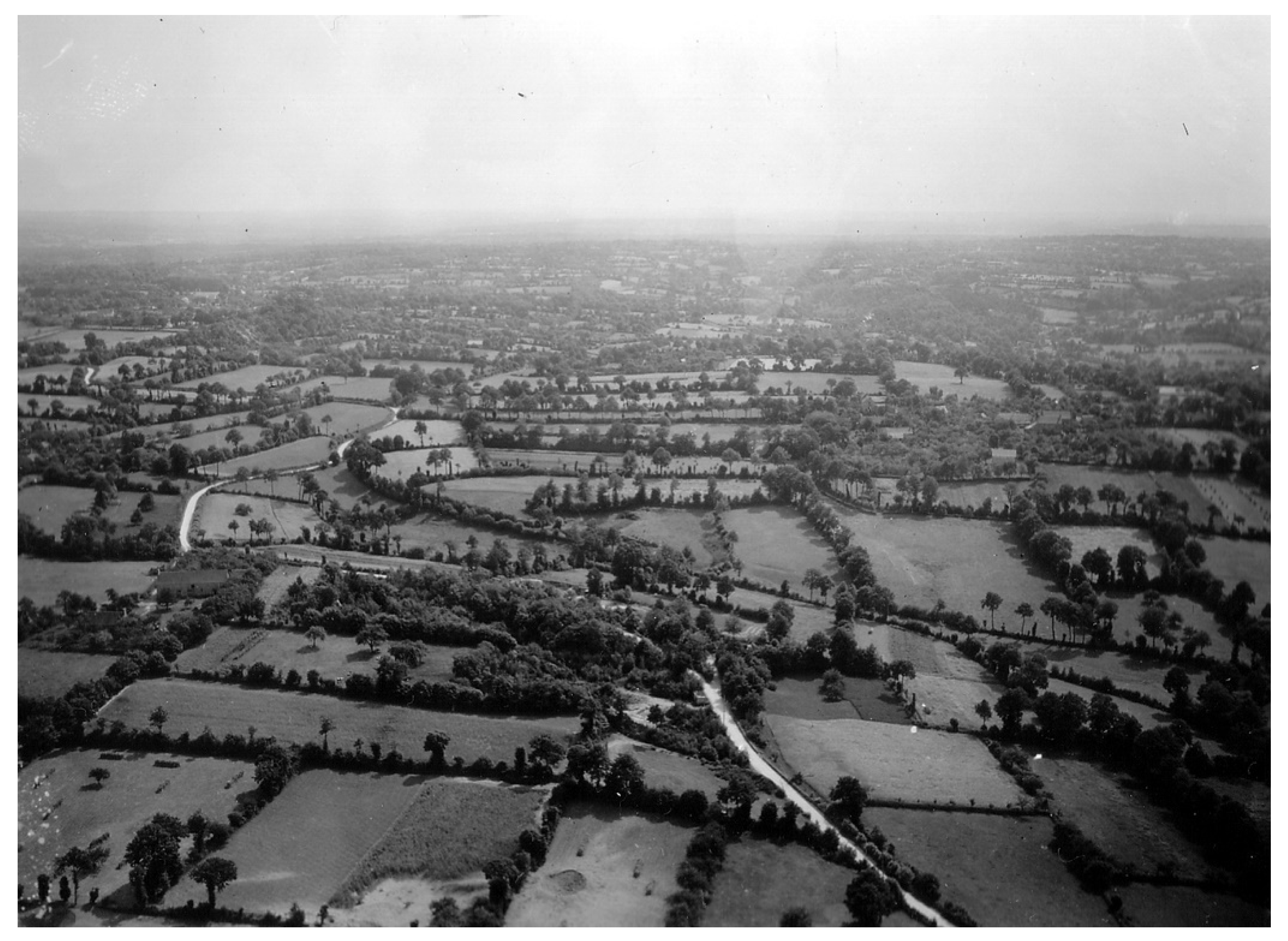 Land 10 00529 g015