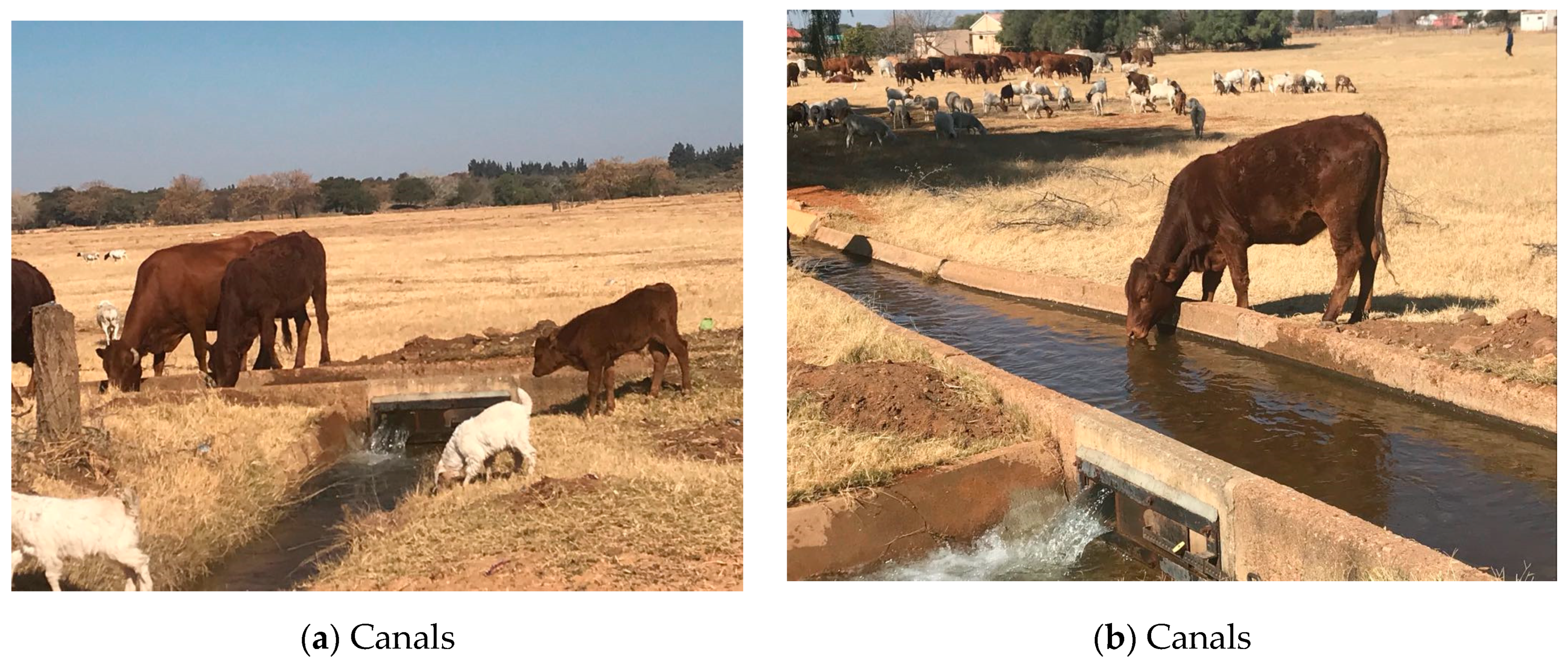 Land 10 00562 g004a Land 10 00562 g004a