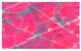 Land 10 00627 i001