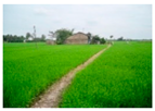 Land 10 00627 i002