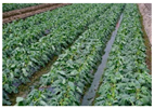 Land 10 00627 i004
