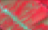 Land 10 00627 i005