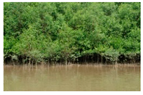 Land 10 00627 i008