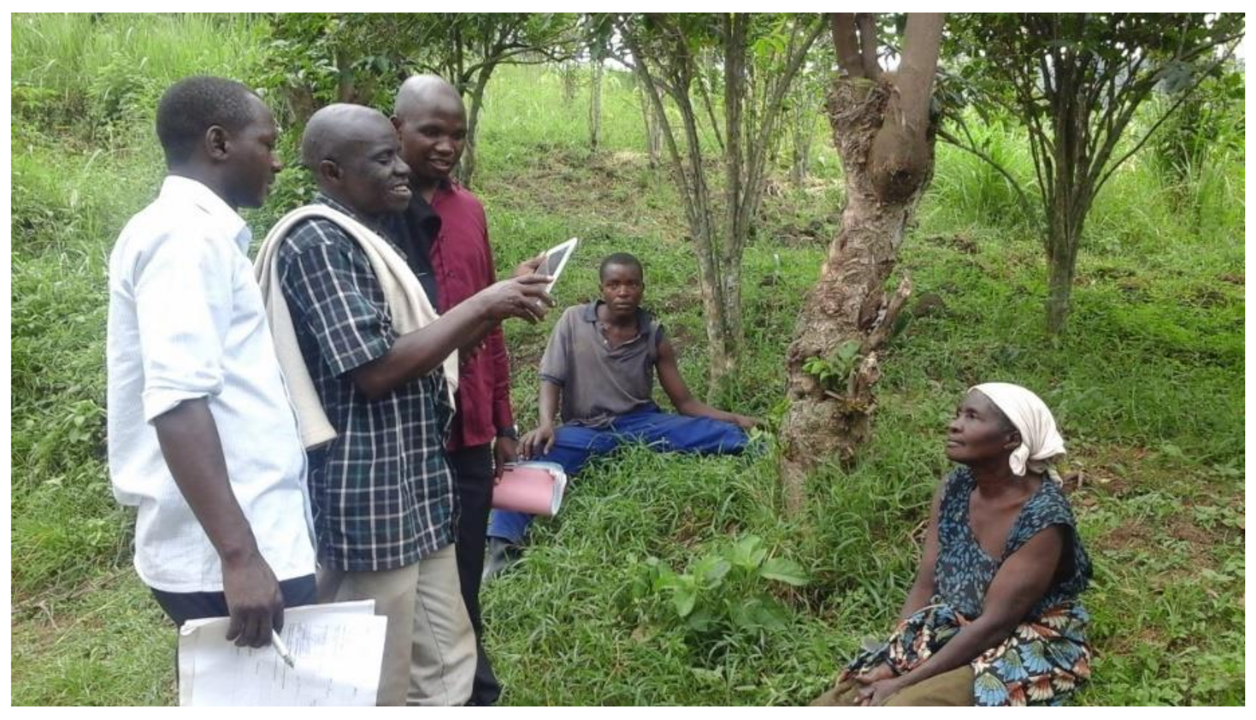 Land 10 00629 g004 Land 10 00629 g004