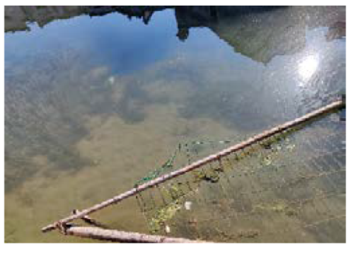 Land 10 00795 i009 Land 10 00795 i009