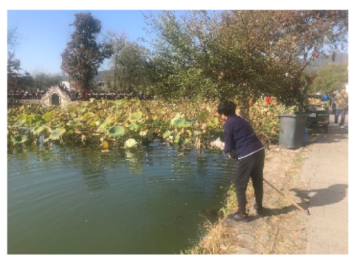 Land 10 00795 i010 Land 10 00795 i010