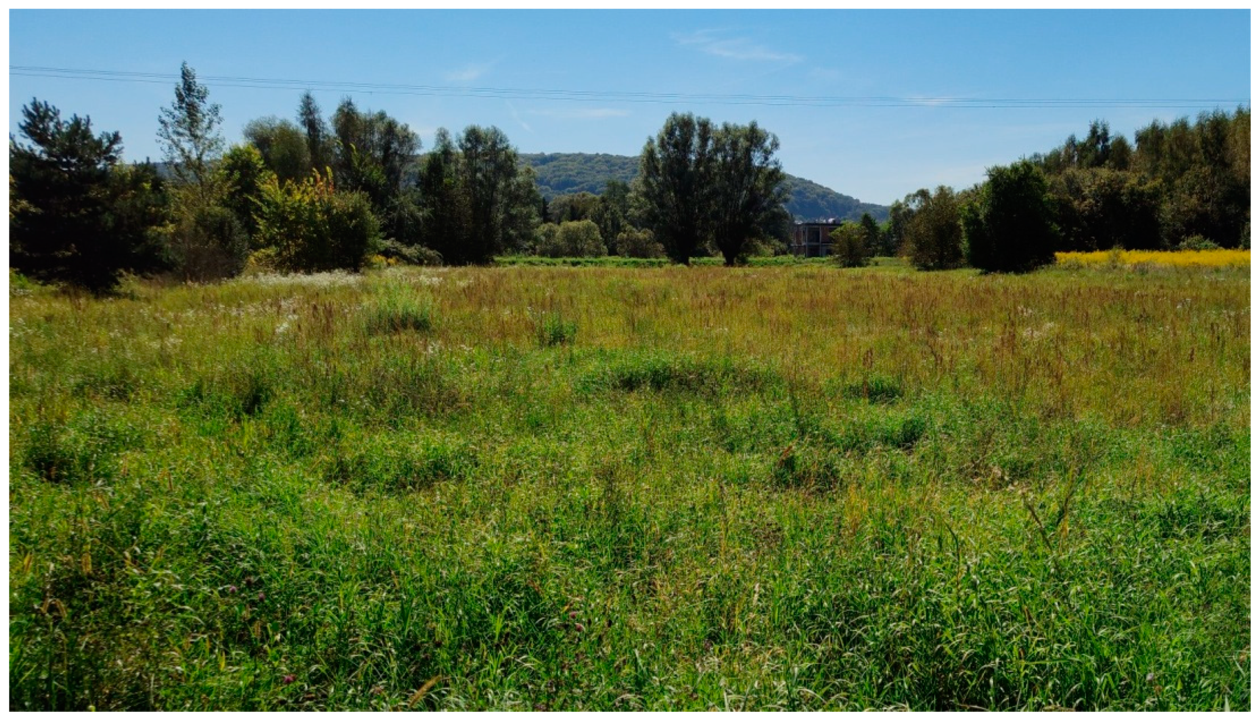 Land 10 01273 g011 Land 10 01273 g011