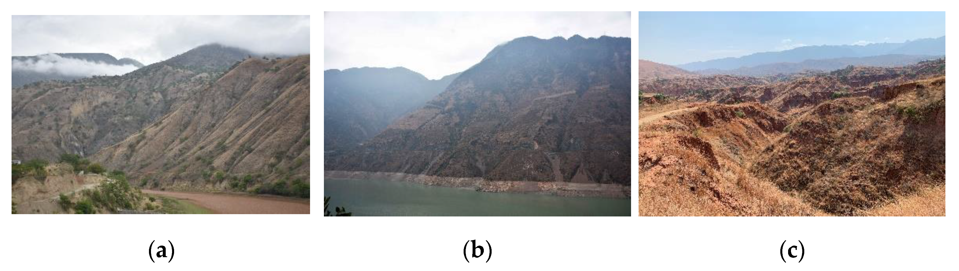 Land 10 01289 g002
