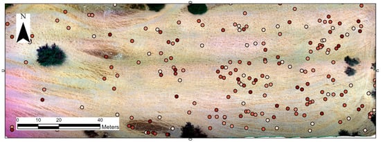 Land 10 01365 g0a1a 550