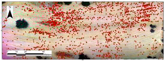 Land 10 01365 g0a1b 550