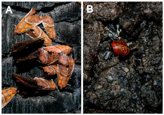 Land 11 00079 g0a5 550