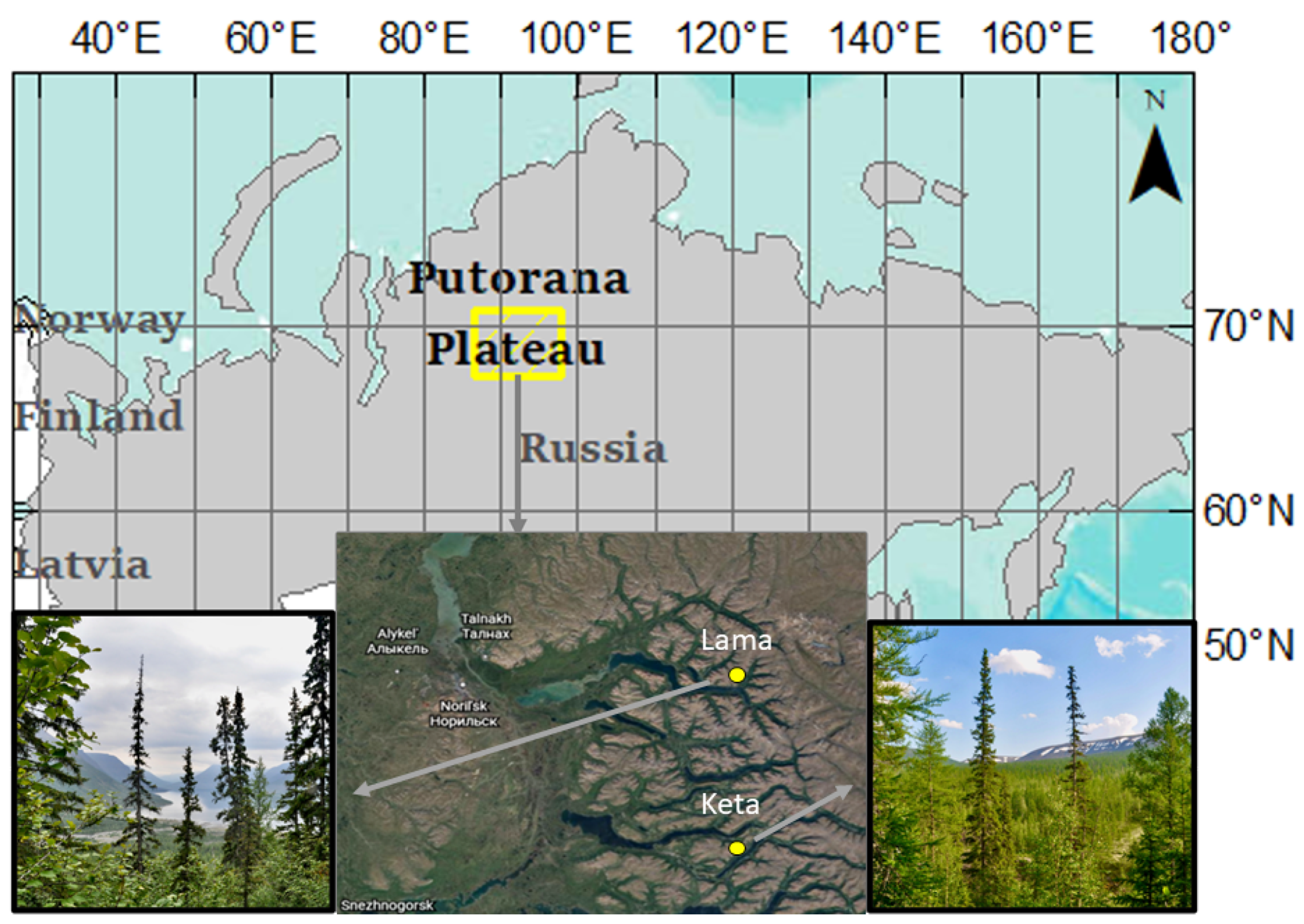 Land 11 00128 g001 Land 11 00128 g001