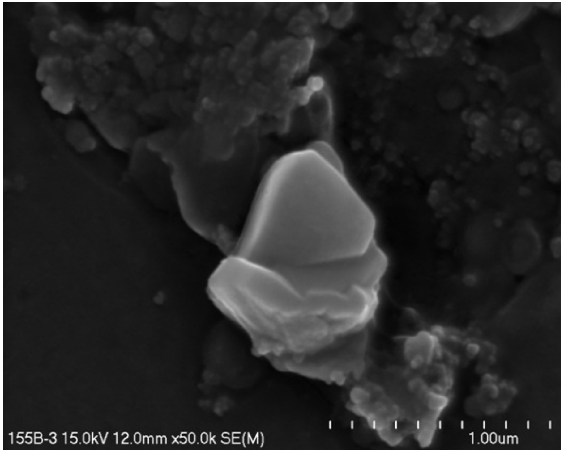 Land 11 00155 g007