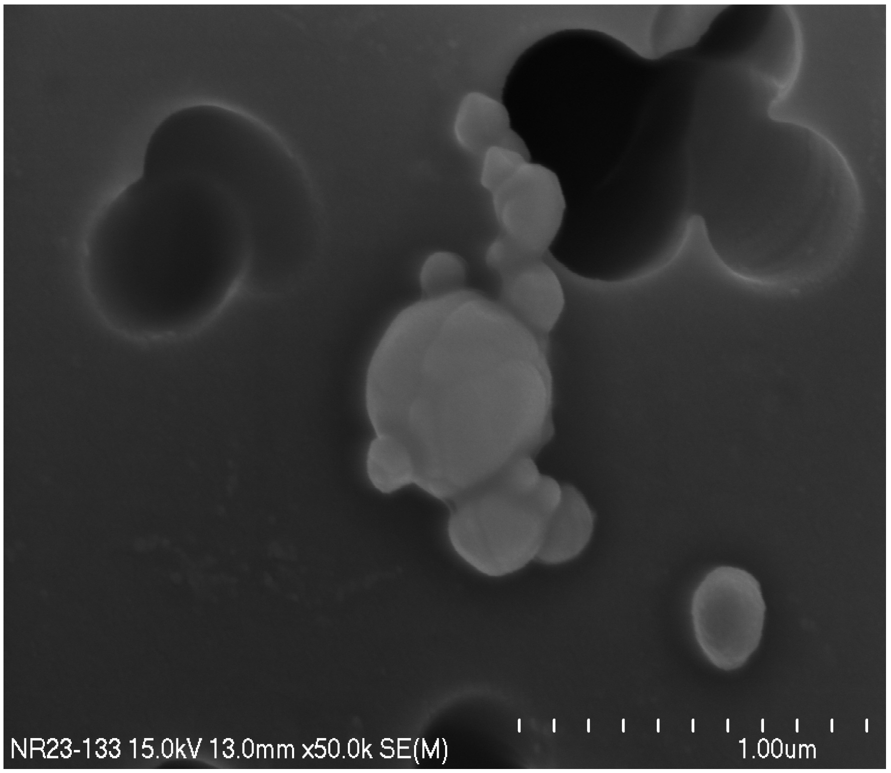 Land 11 00155 g008