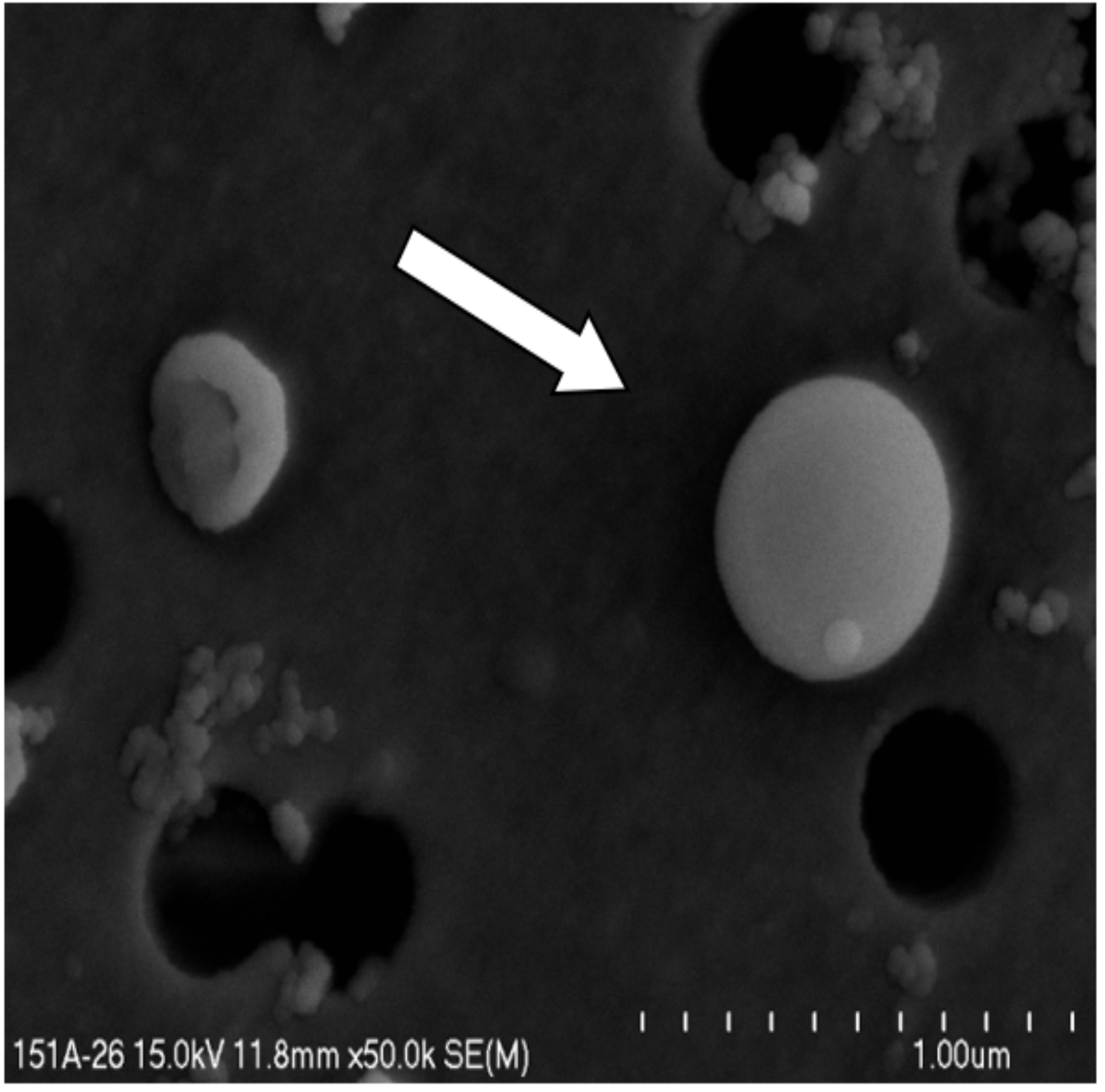 Land 11 00155 g011
