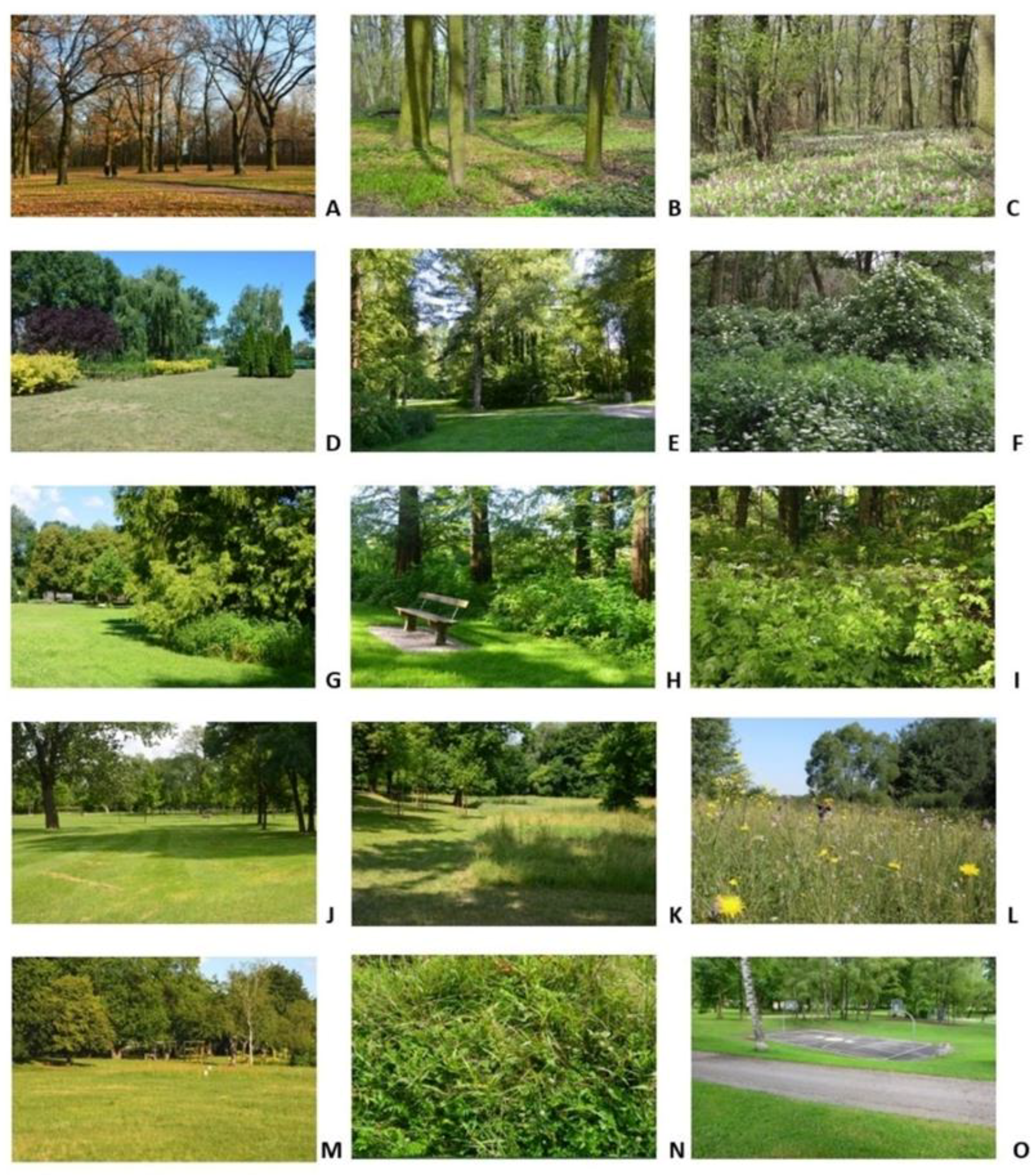 Land 11 00341 g001 Land 11 00341 g001
