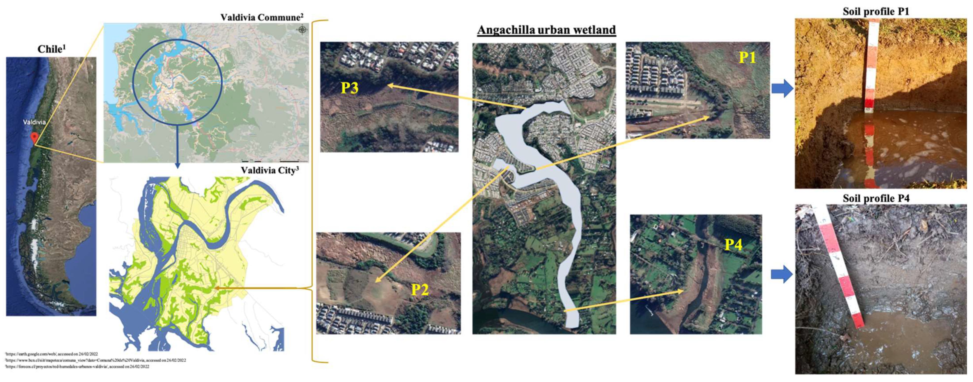Land 11 00394 g001 Land 11 00394 g001