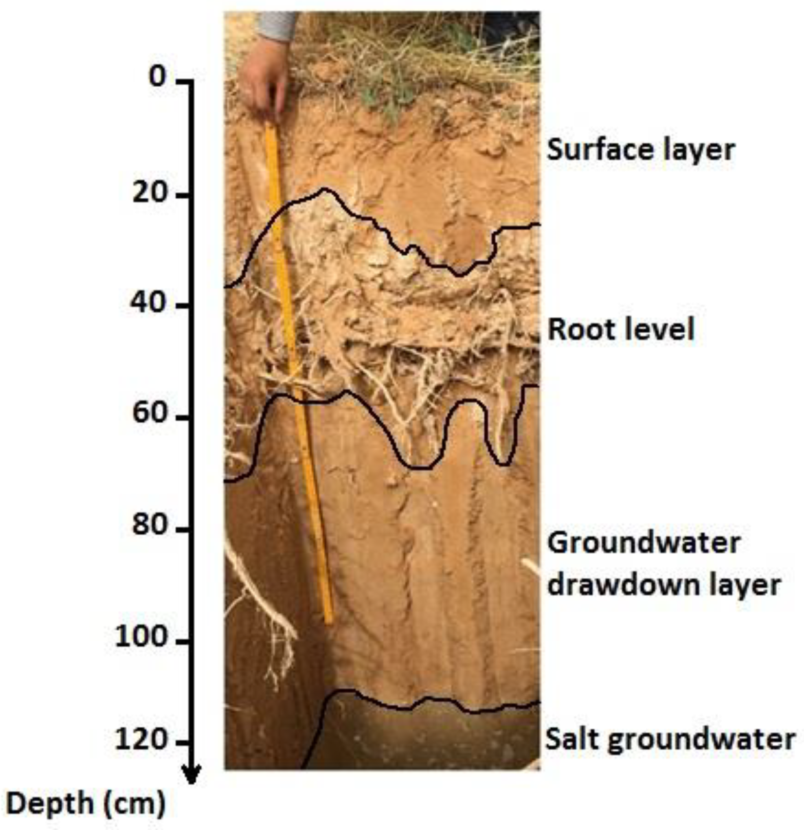 Land 11 00442 sch001