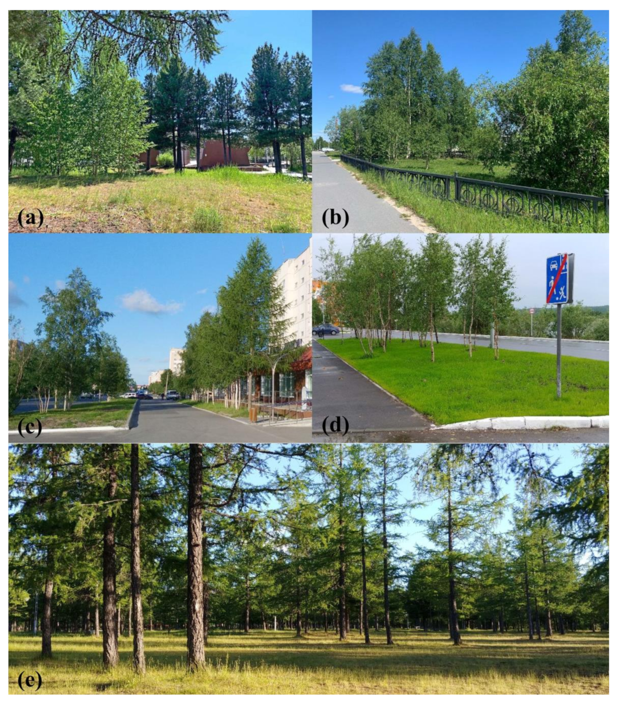 Land 11 00531 g002