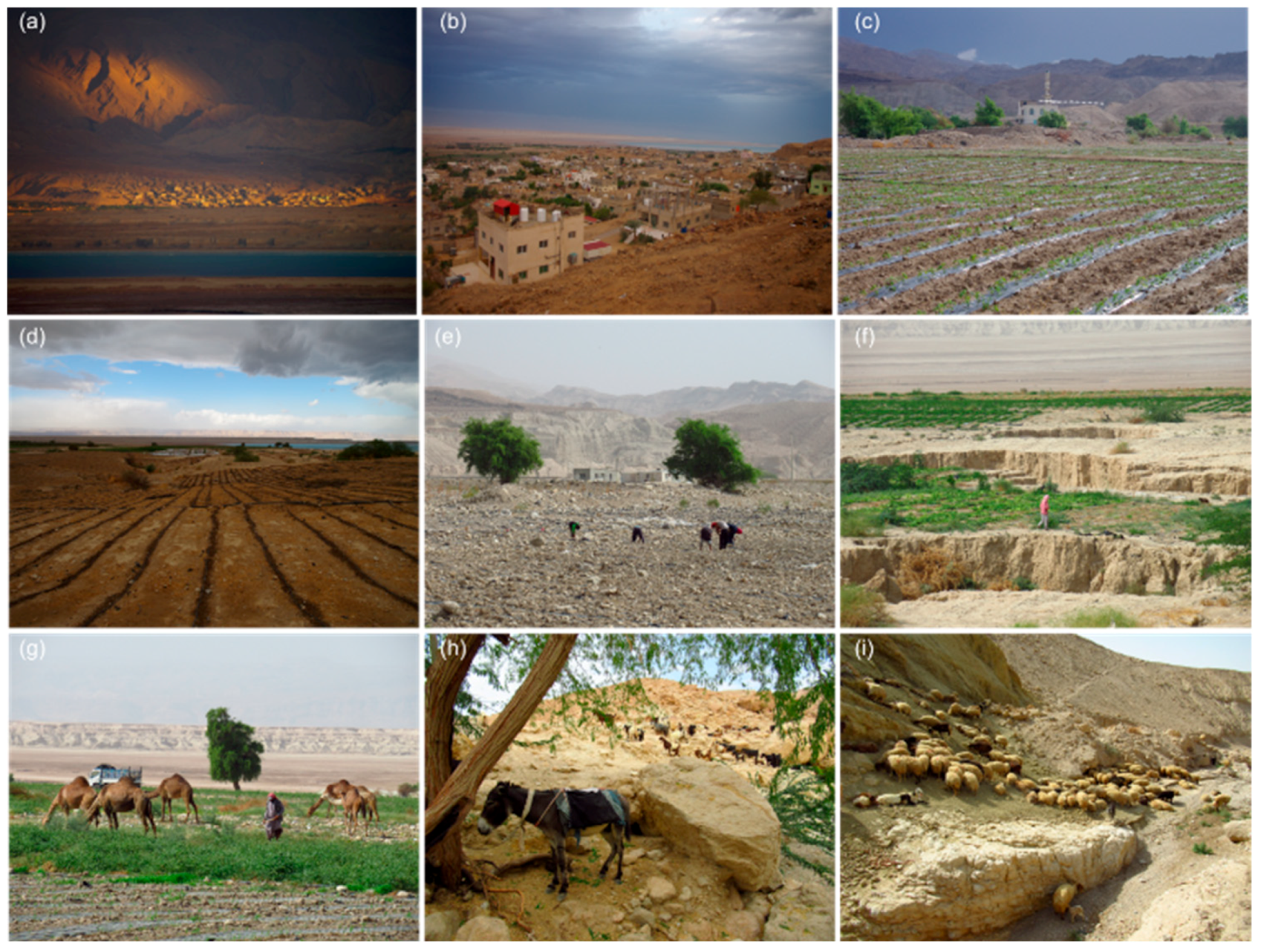 Land 11 00553 g004 Land 11 00553 g004