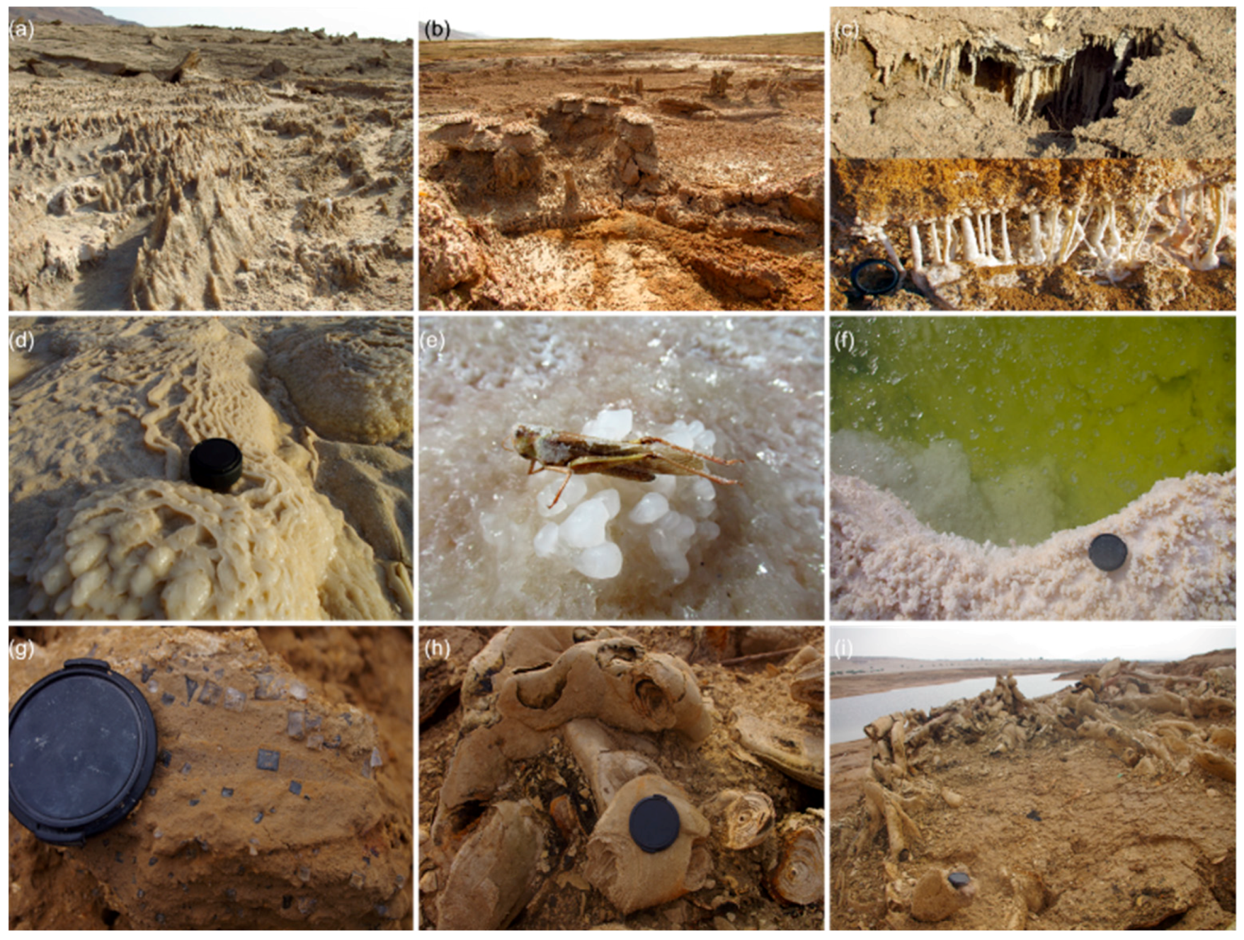 Land 11 00553 g011 Land 11 00553 g011