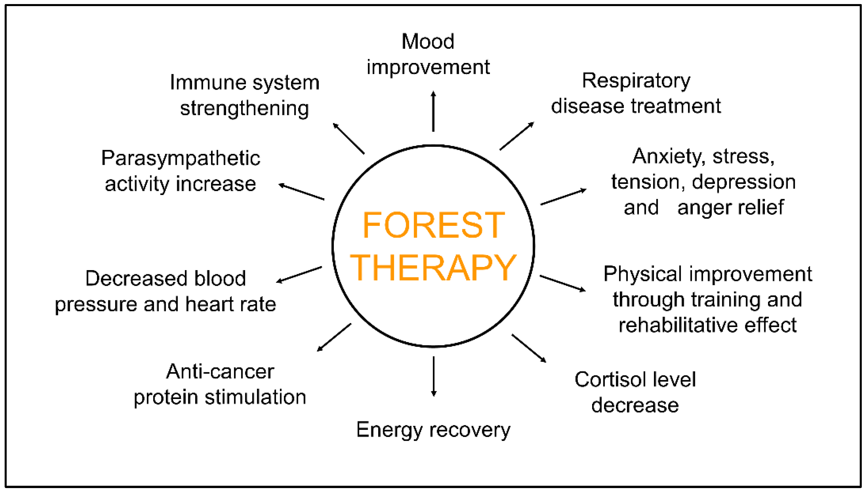Land 11 00874 g001 Land 11 00874 g001