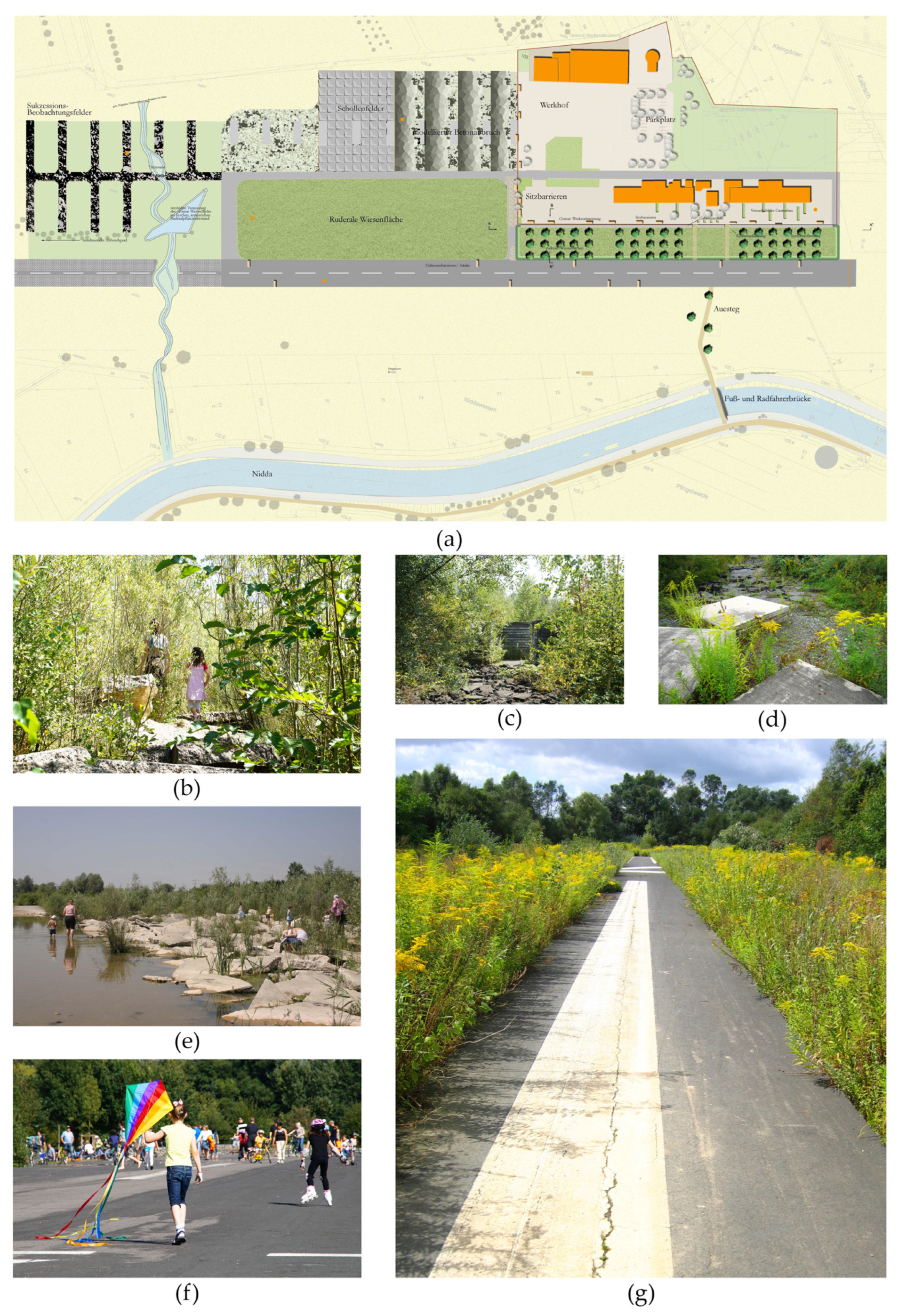 Land 11 00908 g004